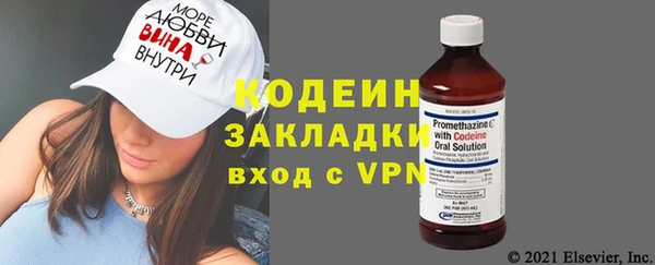 гашик Коряжма