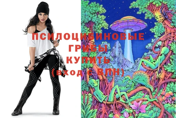 гашик Коряжма