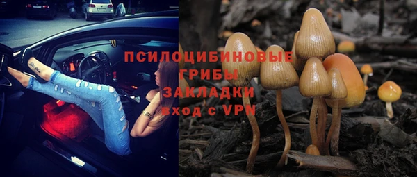скорость Корсаков
