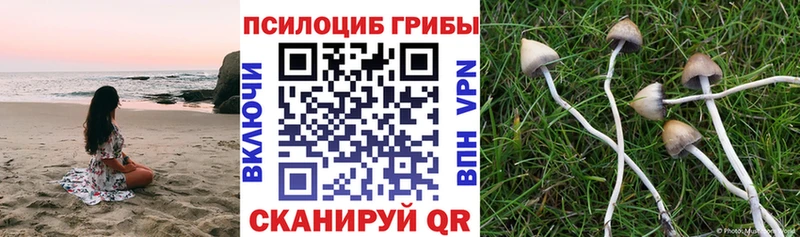 Псилоцибиновые грибы ЛСД  Краснозаводск 